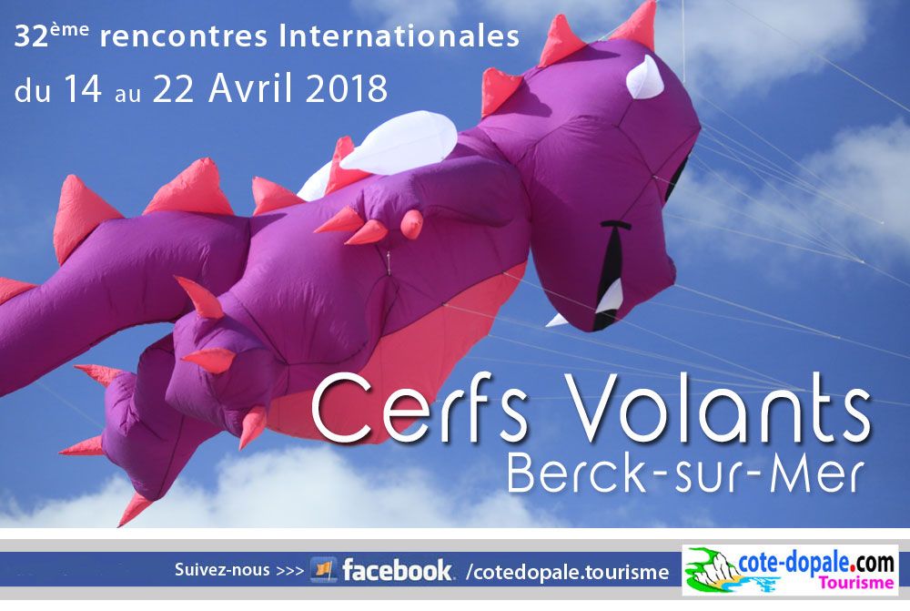 rencontres internationales de cerfs volants berck 2012